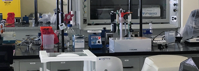 Theralytix T4 bacteriophage